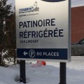PATINOIRE-POTEAUXSITE
