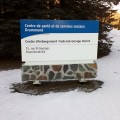 CSSS