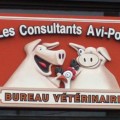 consultant_avi-porc