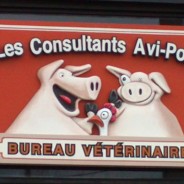 Les Consultant Avi-Porc – Enseigne sculpté