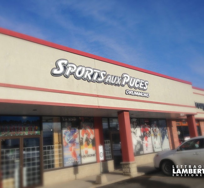 Sports aux Puces
