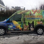 Animalerie Drummond – Wrap