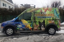 Animalerie Drummond – Wrap