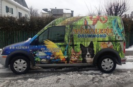 Animalerie Drummond – Wrap