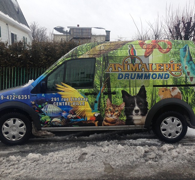 Animalerie Drummond – Wrap