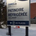 PATINOIRE-POTEAUXSITE