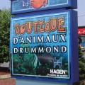 boutAnimauxLum