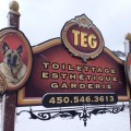 teg